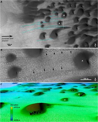 Transverse Aeolian Ridge Growth Mechanisms and Pattern Evolution in Scandia Cavi, Mars